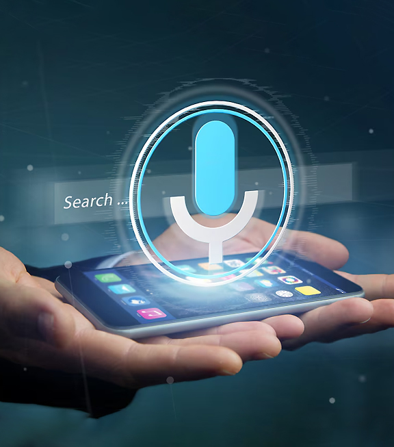 Voice Search Optimization